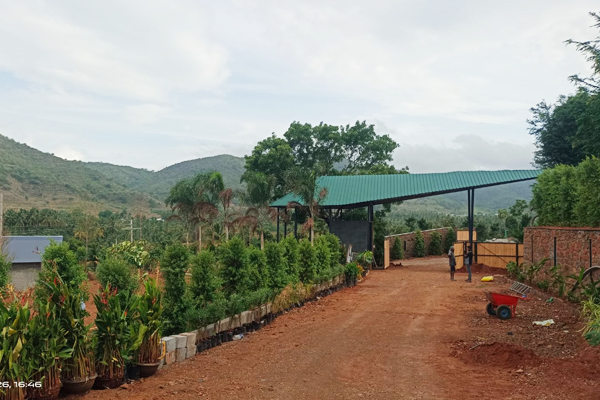 Aambal Green Landscape